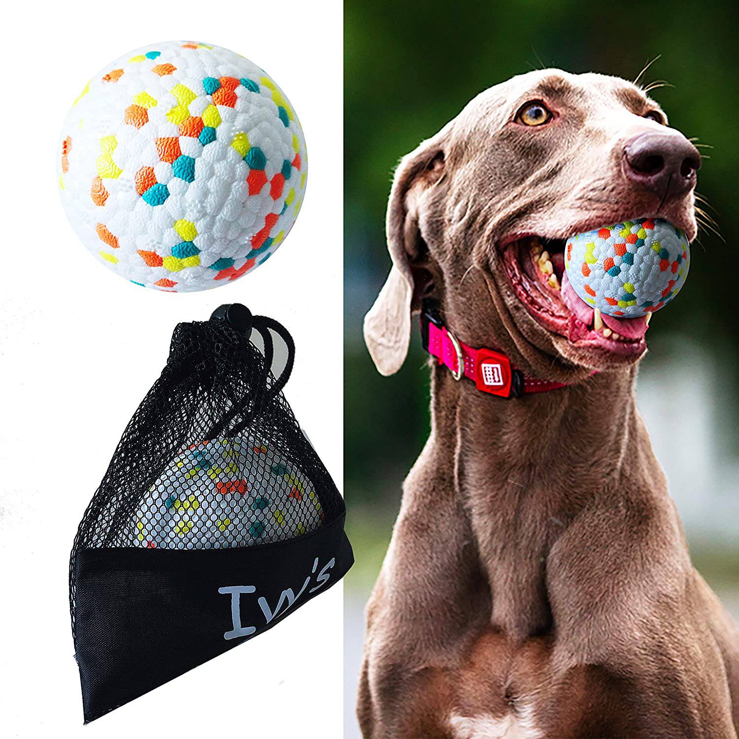 SCHITEC - Pelotas para perros con sonido de campana, pelota