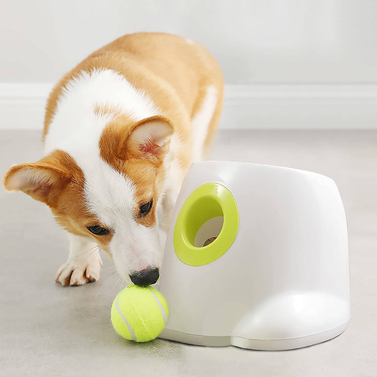 Lanzador-recoge pelotas para perros - AnimalComfort