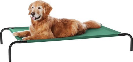 Amazon Basics Cama elevada para mascotas Large - DIGVICE MX