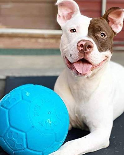 Bull terrier store tenis mercado livre