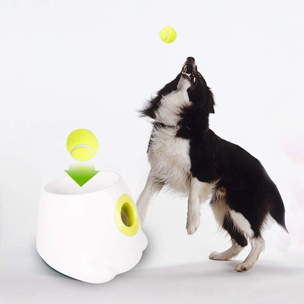 AFP Lanzador automático de pelotas para perros Cachorros interactivos –  Digvice
