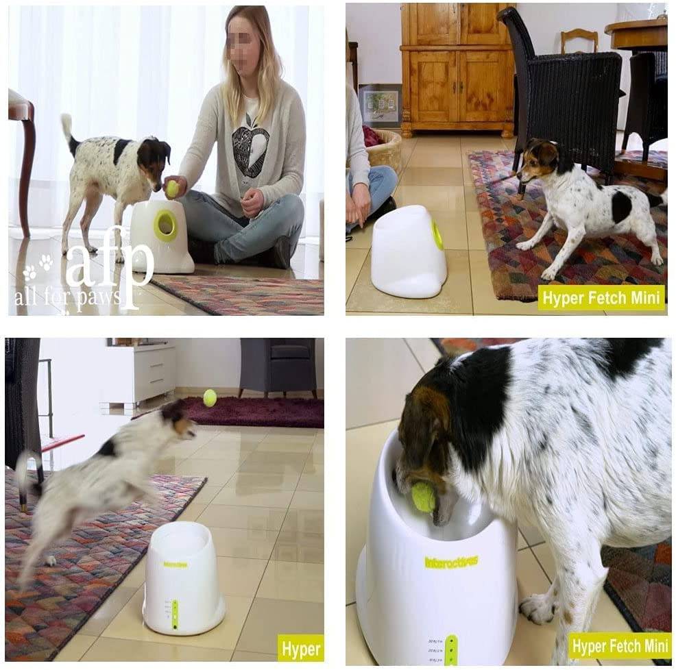 AFP - Lanzador automático de bolas para perros, lanzador de pelotas de  perro, máquina de pelotas de tenis, incluye 3 pelotas de tenis para perros