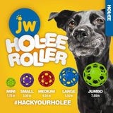 JW HOL-ee Roller Dog Fetch Dispensador de golosinas Puzzle Ball - DIGVICE MX