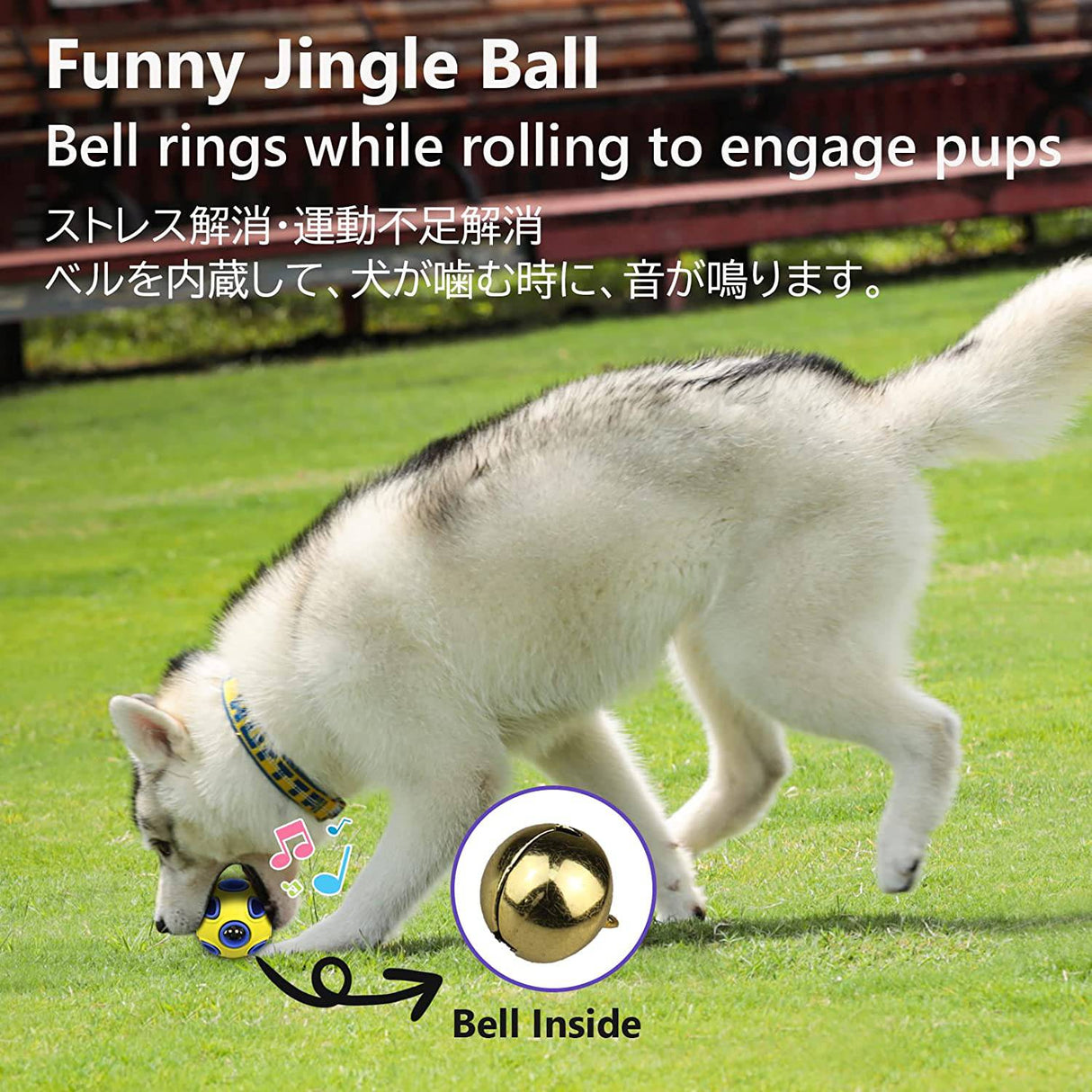 Pelotas de tenis para perros, paquete de 12 pelotas de tenis para perros  grandes y cachorros, pelota interactiva para atraer la atención de las
