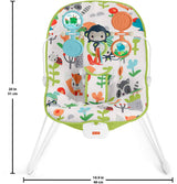 Hamaca para bebés de Fisher-Price: asiento verde que rebota para calmar y jugar a recién nacidos y bebés - DIGVICE MX