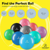 ProBody Pelota de pilates, de ejercicio Pelota de yoga, fitness, equilibrio, entrenamiento en casa, oficina y terapia física con bomba