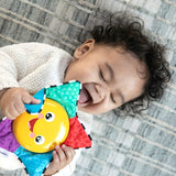 Baby Einstein Star Bright Symphony - Juguete musical de peluche para llevar, edades recién nacido -