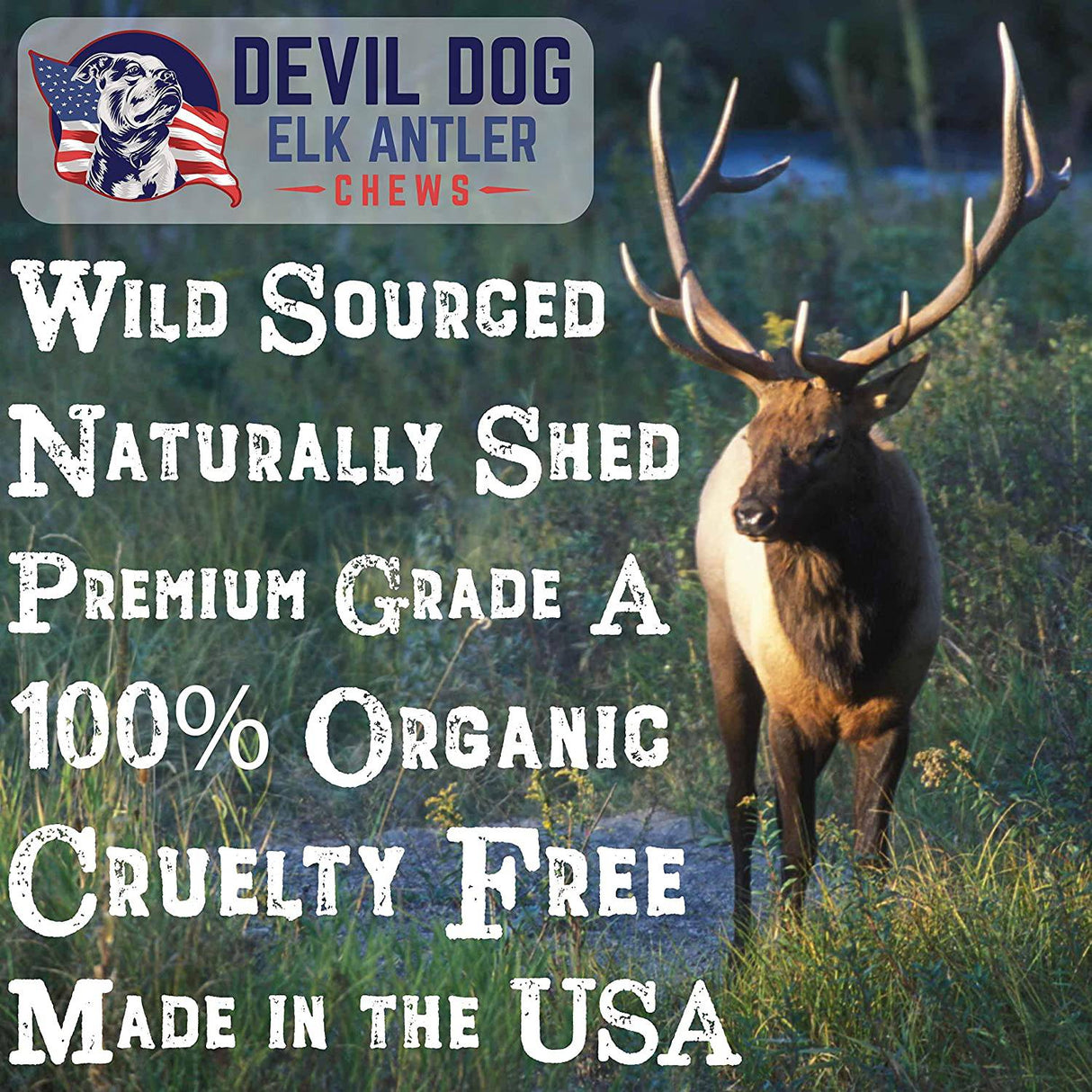 Devil Dog Pet Co Antler Dog Chew - Cuernos de alce premium para perros - Huesos de perro de larga duración para masticadores agresivos - XLARGE - DIGVICE MX